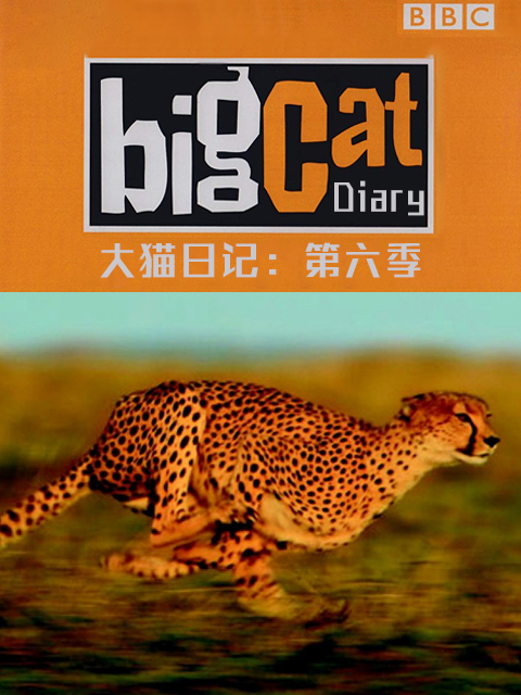 大猫日记第六季}
