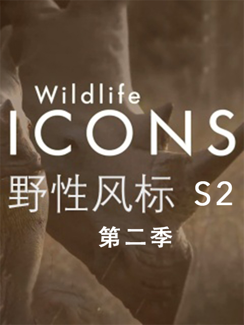 野性风标第二季}