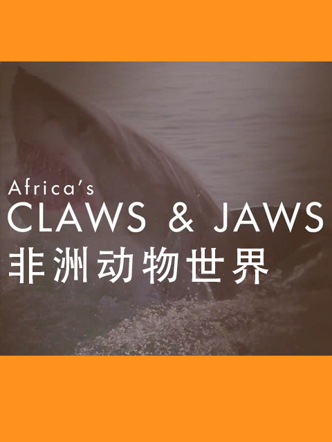 非洲动物世界}