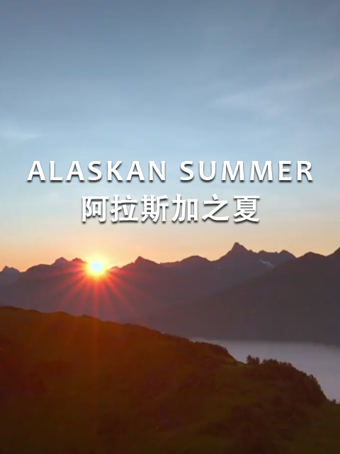 阿拉斯加之夏}