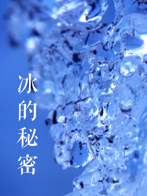 冰的秘密}