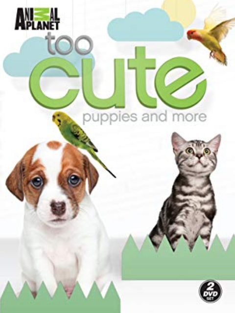 萌宠成长记第二季}