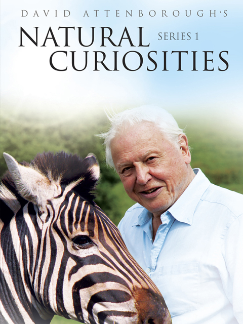 大卫·爱登堡的自然奇迹第一季}