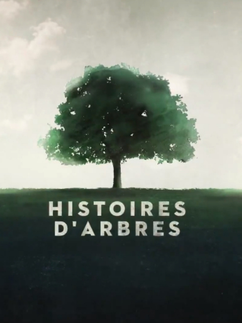 两棵树两个幸存者}