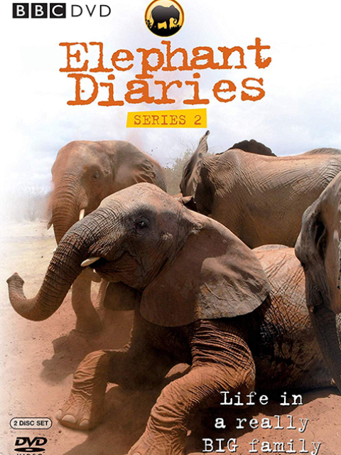 大象日记第二季}