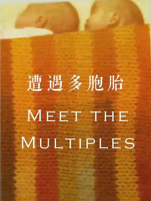 遭遇多胞胎}
