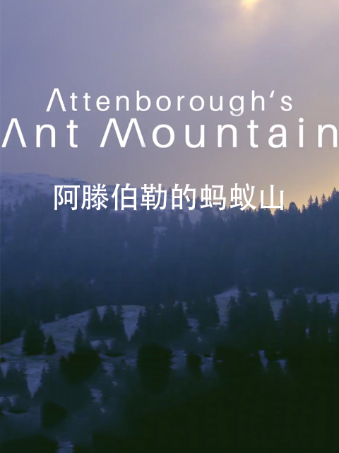 阿滕伯勒的蚂蚁山}