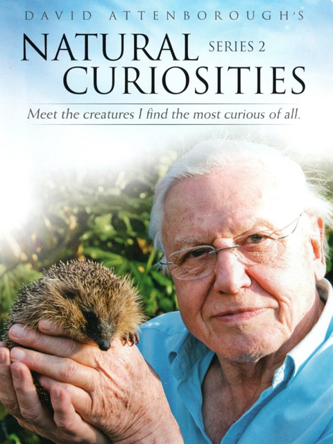 大卫·爱登堡的自然奇迹第二季}