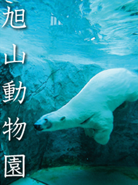 旭山动物园}