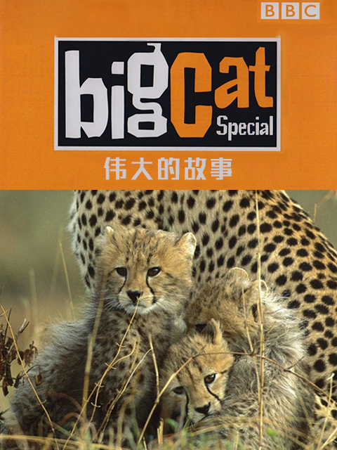 大猫日记伟大的故事}