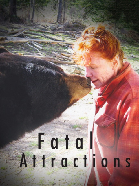 致命宠物第四季}