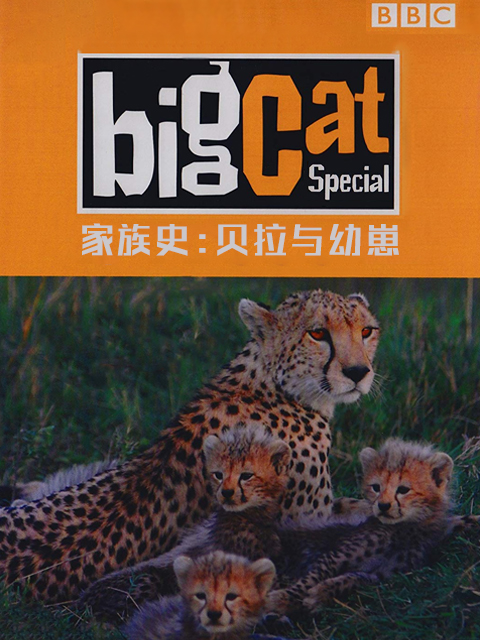 大猫日记家族史：贝拉与幼崽}