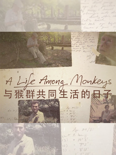 与猴群共同生活的日子}