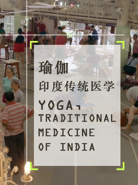 瑜伽印度传统医学}
