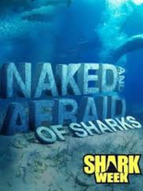 原始生活21天鲨鱼特集}