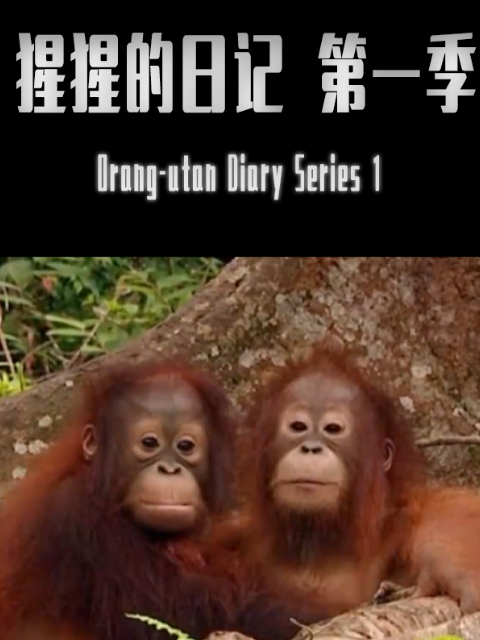 猩猩的日记第一季}