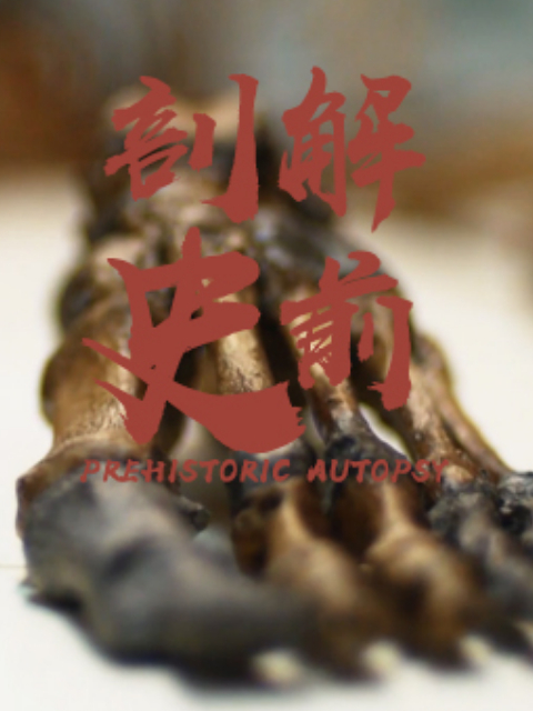 剖检史前}