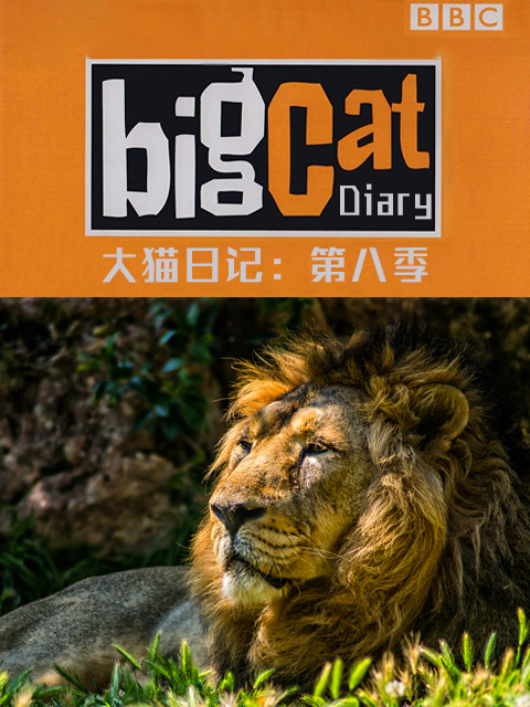 大猫日记第八季}