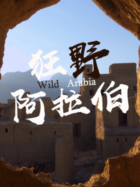 狂野阿拉伯}