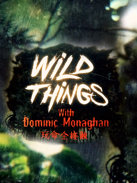 玩命全接触第三季}