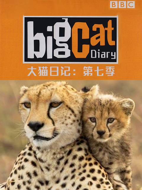 大猫日记第七季}