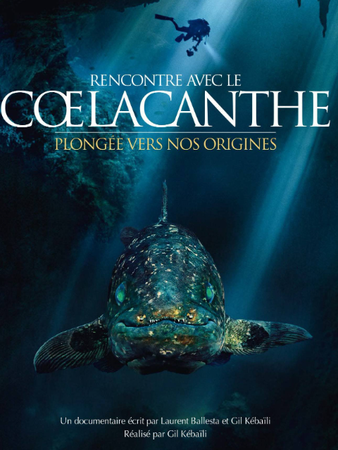 转角遇见史前鱼}