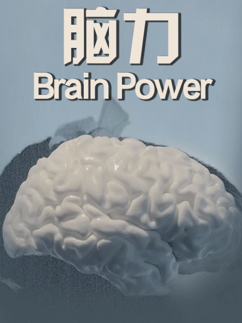 脑力}