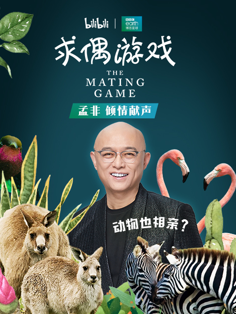 求偶游戏孟非配音}