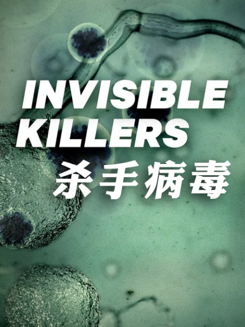 杀手病毒}
