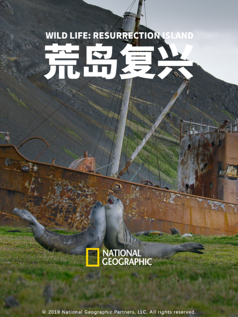 荒岛复兴}