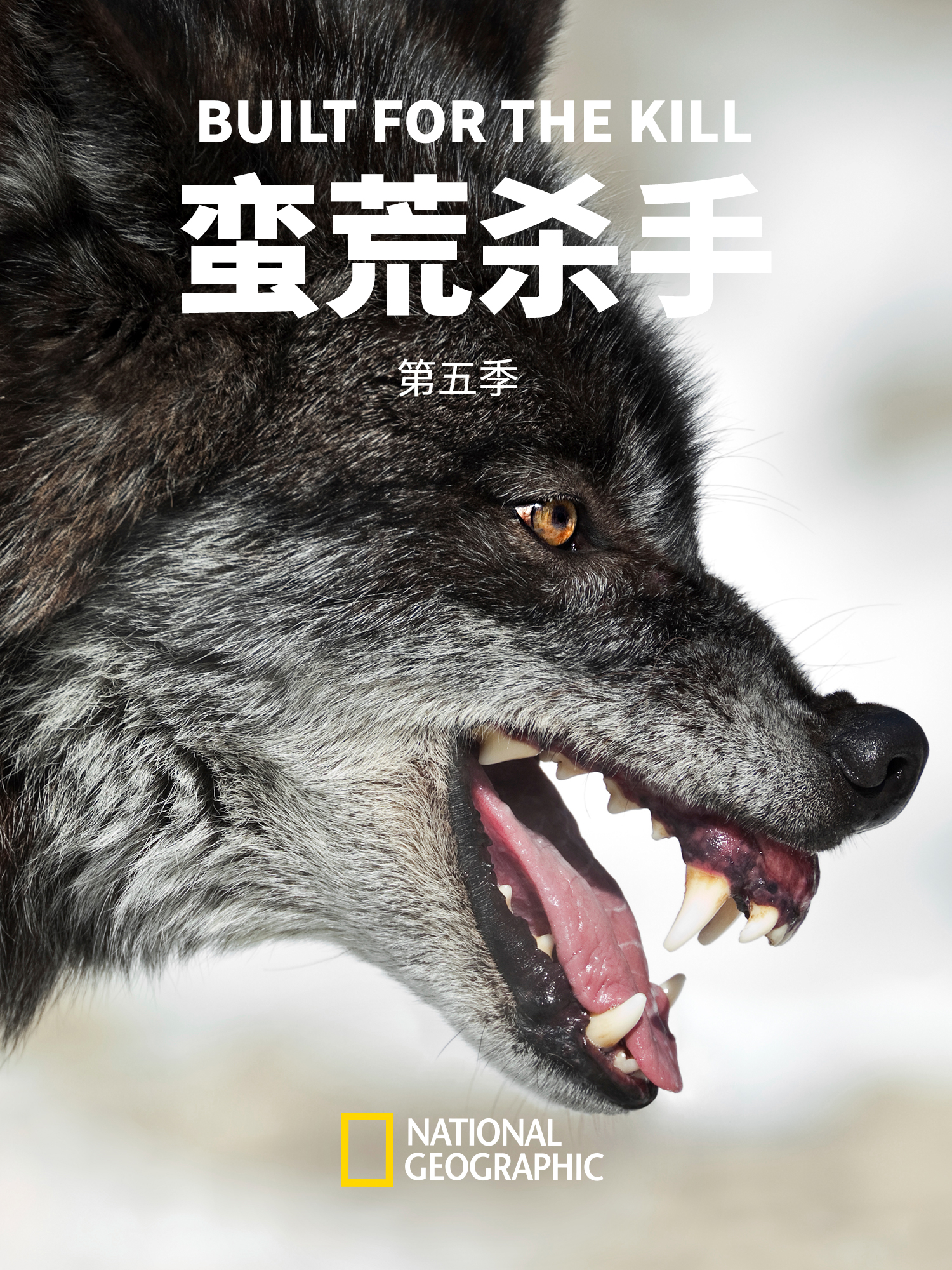 蛮荒杀手第五季}