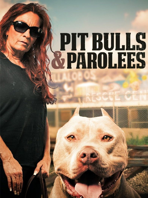 狗儿救援迎新生第十季}