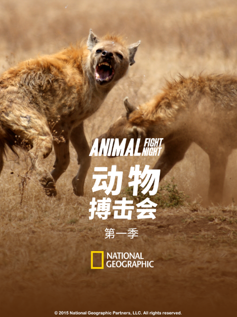 动物搏击会第一季}