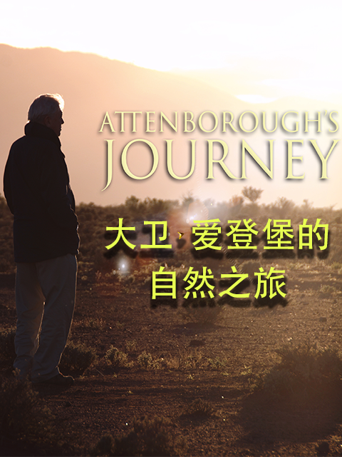 大卫·爱登堡的自然之旅}