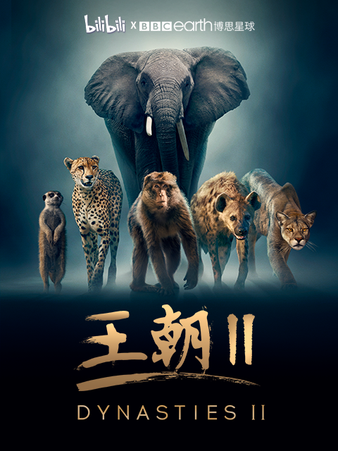 王朝2中配版}