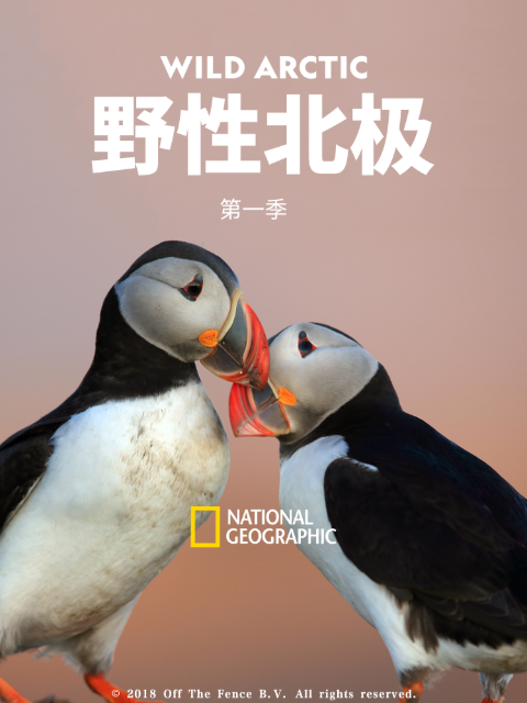 野性北极第一季}