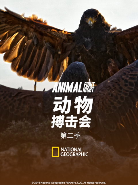 动物搏击会第二季}