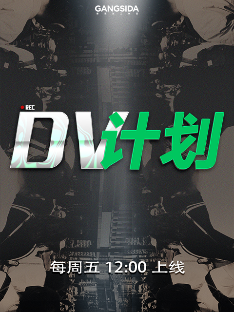 DV计划}