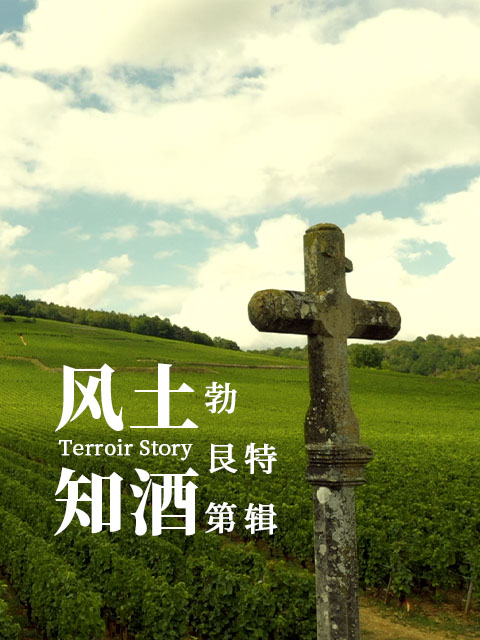 风土知酒第二季}