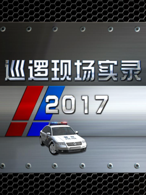 巡逻现场实录2017}