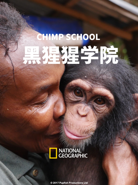 黑猩猩学院}