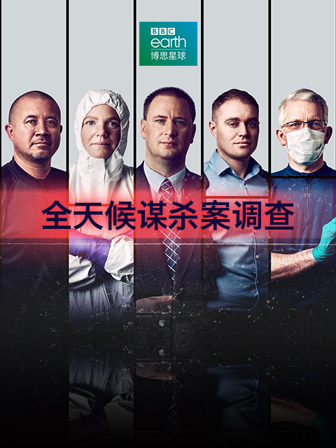 全天候谋杀案调查}