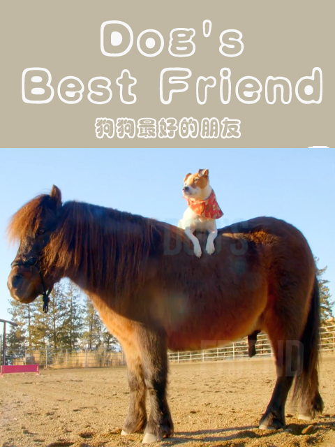 狗狗最好的朋友}