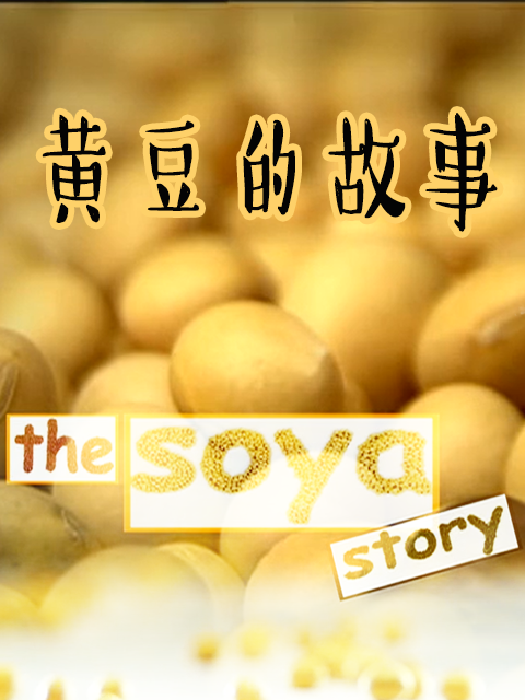 黄豆的故事}