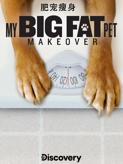 肥宠瘦身}