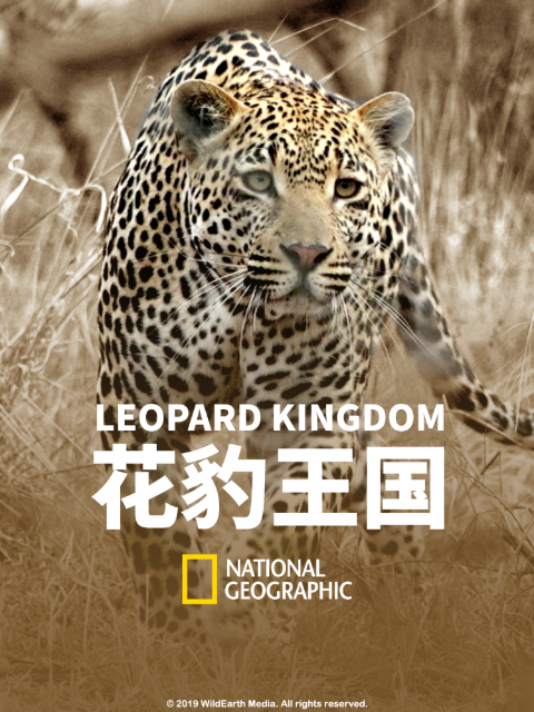 花豹王国}