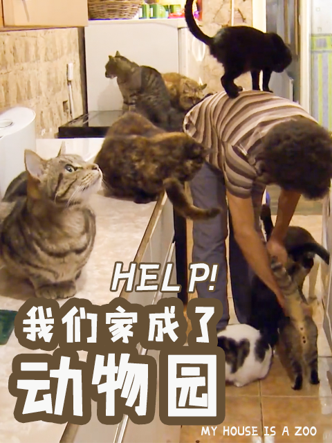 我们家成了动物园}