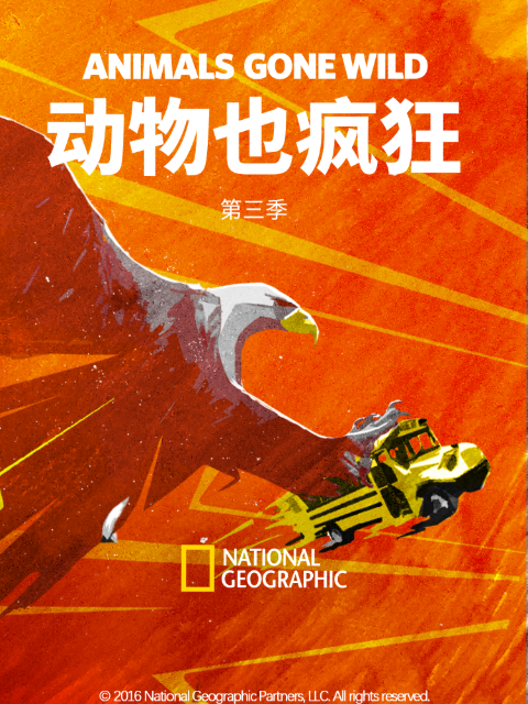 动物也疯狂第三季}
