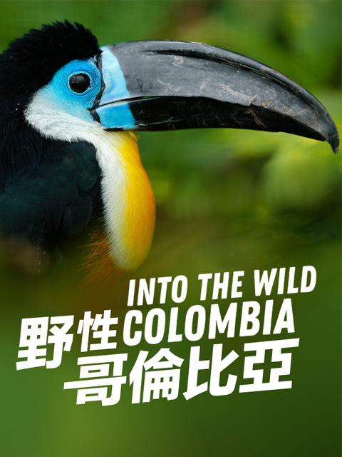 走进荒野：哥伦比亚}
