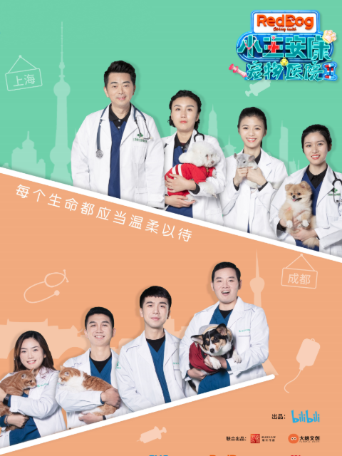 小主安康－宠物医院2}